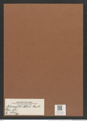 Actinocyclus clevei Castr. (de-Toni-Nr.: Genus 195, Species 4800/69) Zeichnungen Sammlung Grunow Mappe 04661 (Herbarium_W_Grunow_drawings_Folder_04661)